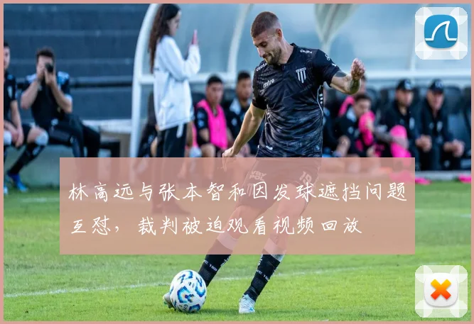 林高远与张本智和因发球遮挡问题互怼,裁判被迫观看视频回放